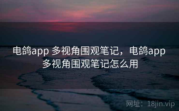电鸽app 多视角围观笔记，电鸽app 多视角围观笔记怎么用