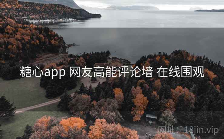 糖心app 网友高能评论墙 在线围观